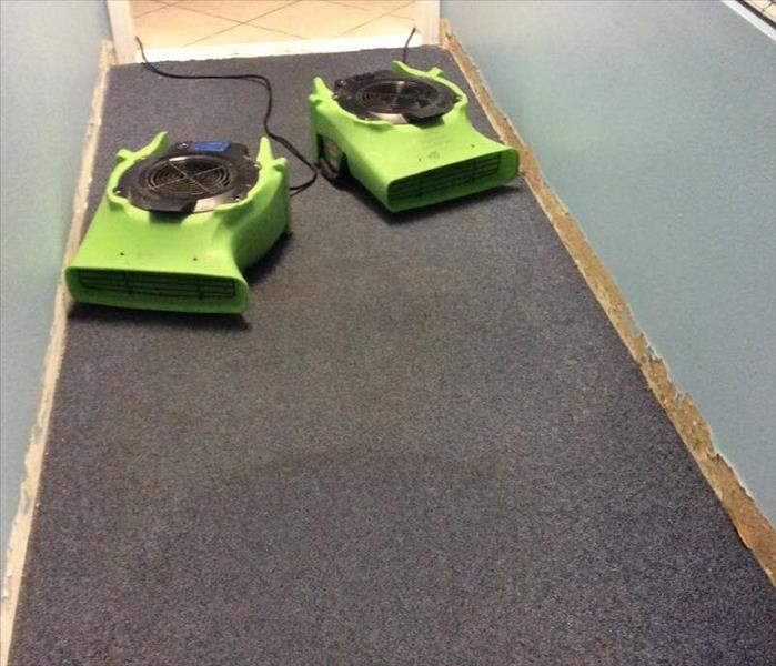Air movers in a hallway on top of carpet 